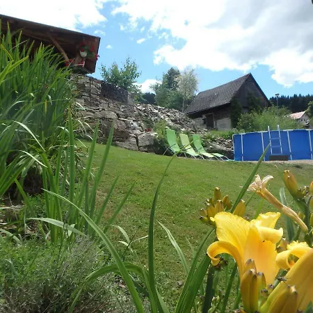 Vecernik Rokytnice Apartment *
